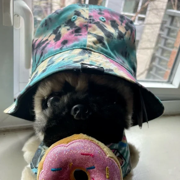 Reversible Holister Bucket Hat 💯 - Picture 2 of 5